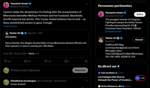 Capture d’écran 2025-06-16 173428.png