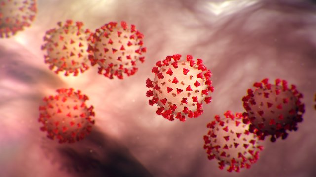 coronavirus.jpg