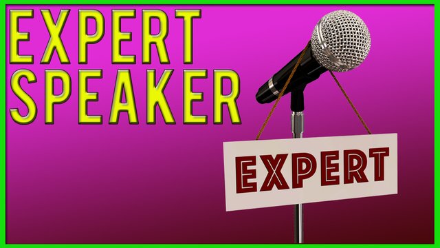 Expert Speaker.jpg