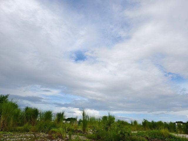IMG_20250704_080843.jpg