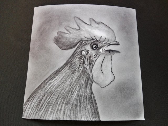 rooster(248).jpg