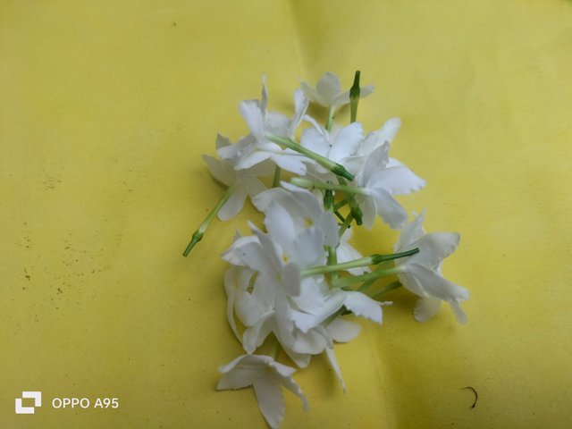 IMG20250521144113.jpg