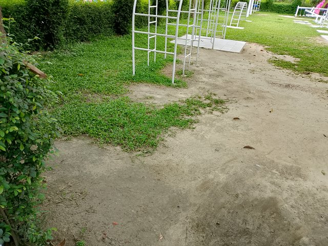 1000035646.jpg