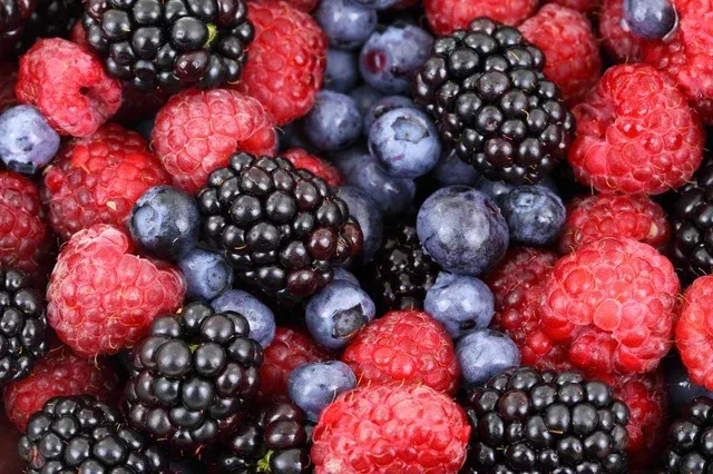 berries-2277_640.webp