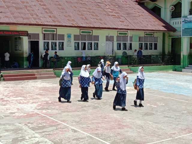IMG_20250417_120050.jpg