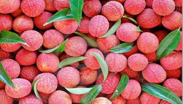 Lichi-Fruit-Death.jpg