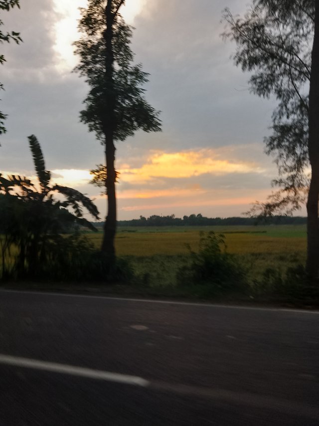 IMG_20250430_181803.jpg