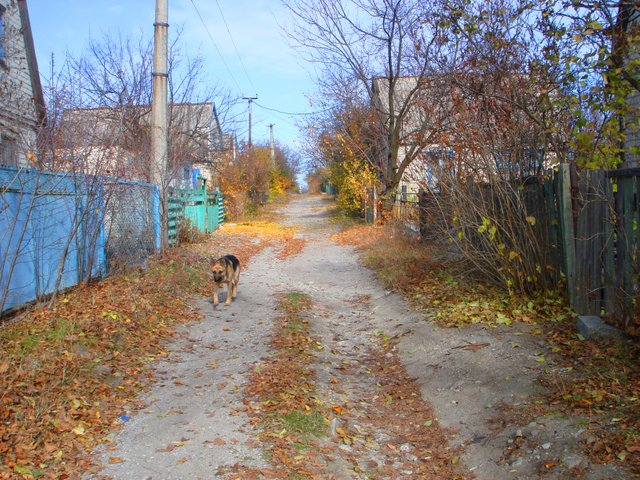 DSC03379.JPG