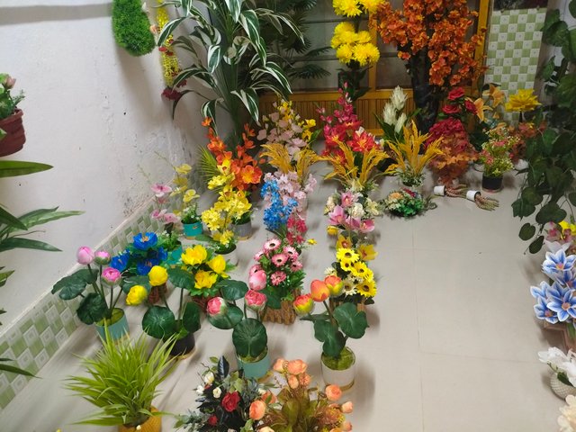 1000043798.jpg