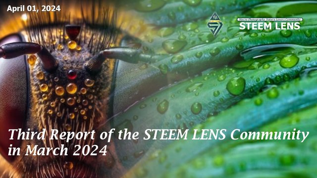 Third Report of the STEEM LENS Community in March 2024.jpg