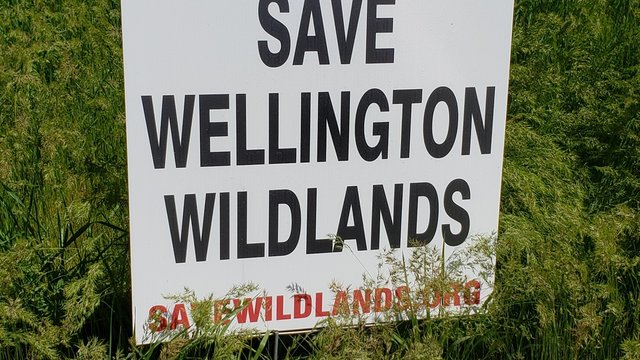 save the wildlands.jpg
