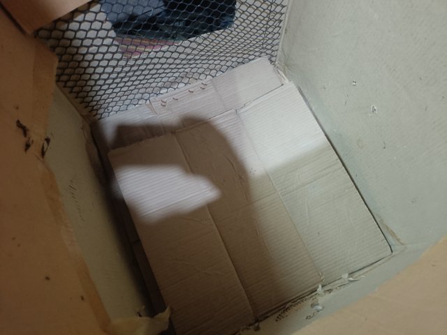 IMG20250518094401.jpg