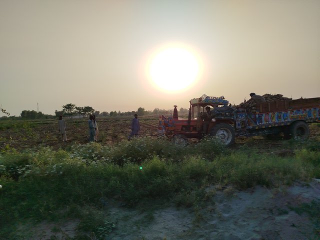 1000054931.jpg