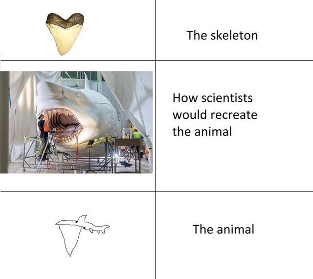 person-skeleton-scientists-would-recreate-animal-animal.jpg