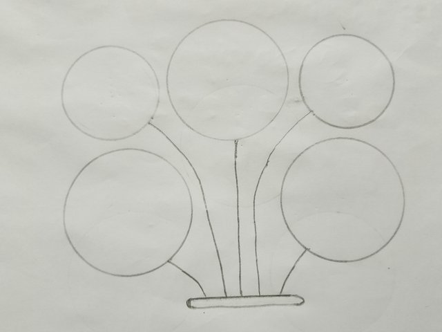 1000023556.jpg
