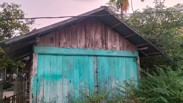IMG20250728182917.jpg