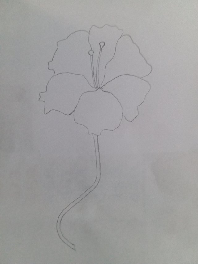 1000078322.jpg