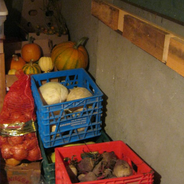 inside cellar.jpg