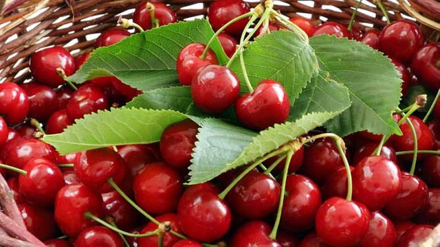 product-cherry-1.jpg