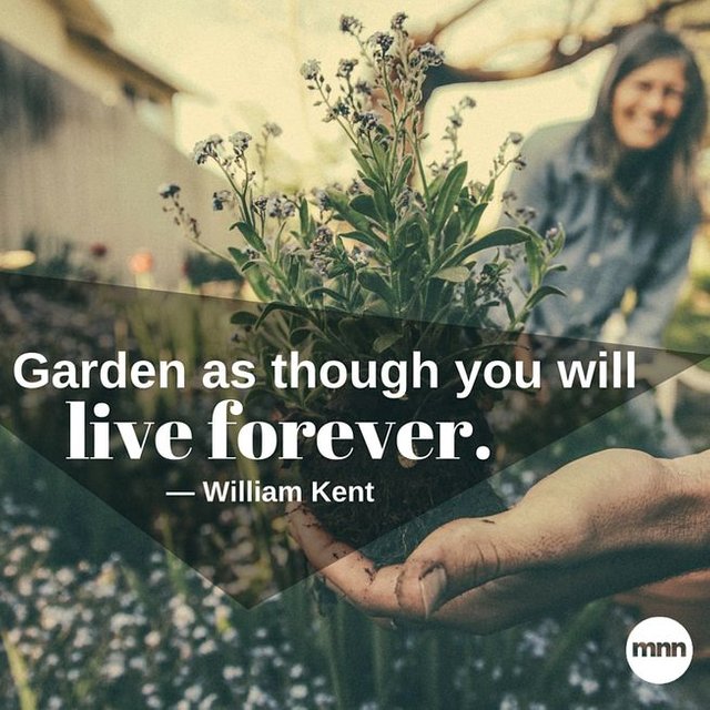 Garden as though you will.jpg.653x0_q80_crop-smart.jpg