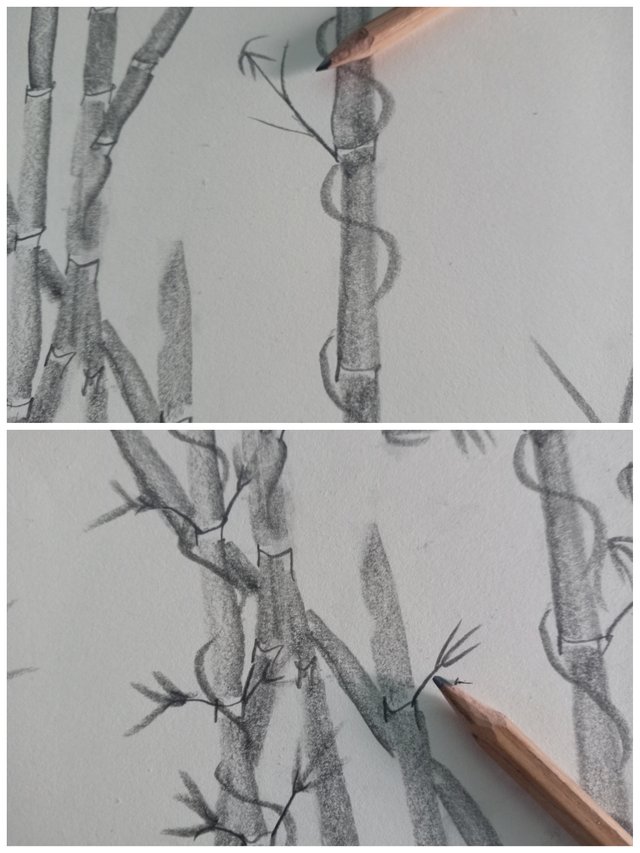 Collage_20250711_154410.jpg