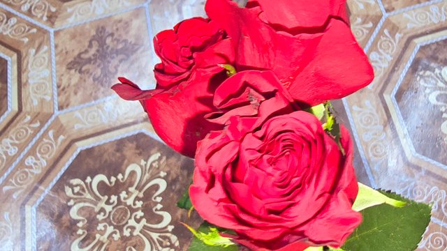 20250420_223111.jpg