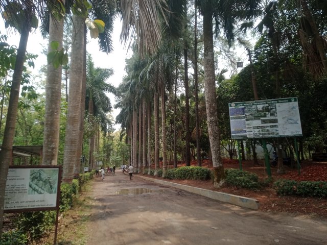 IMG20250419115031.jpg