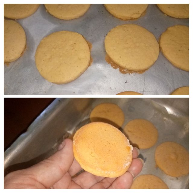 IMG_20250913_173456-COLLAGE.jpg