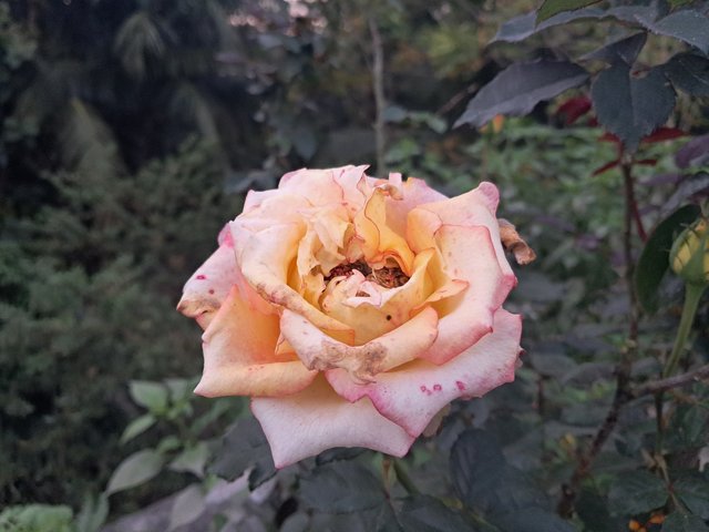 20240105_172119.jpg