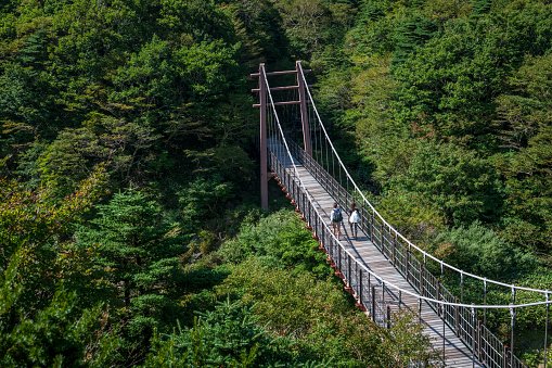 hiking-gwaneumsa-trail-in-hallasan-national-park-jeju-island-korea.jpg