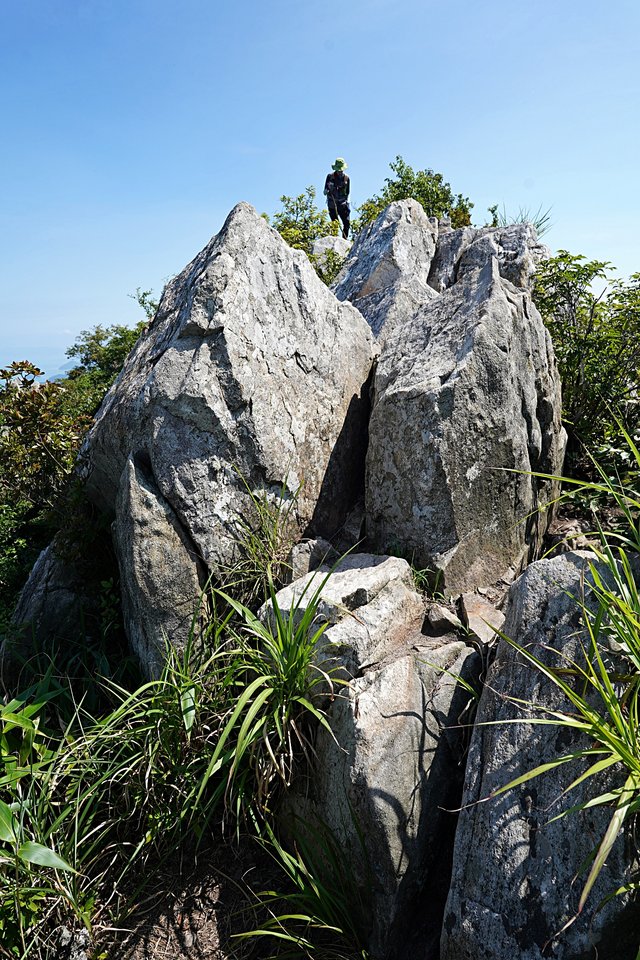 b-DSC08288.JPG