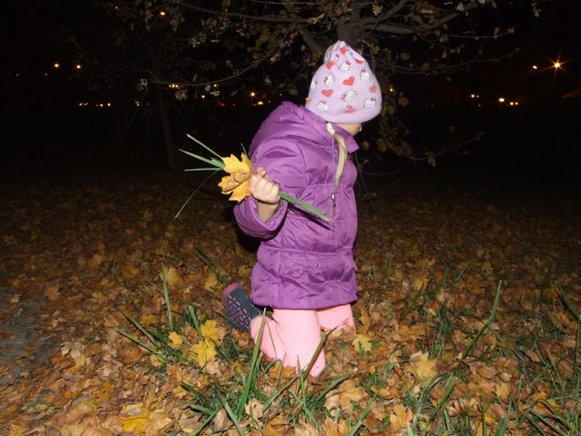DSCF5510.JPG