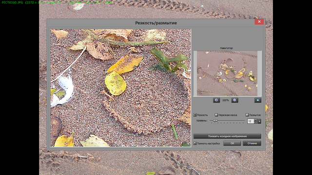 Снимок экрана (4464).png