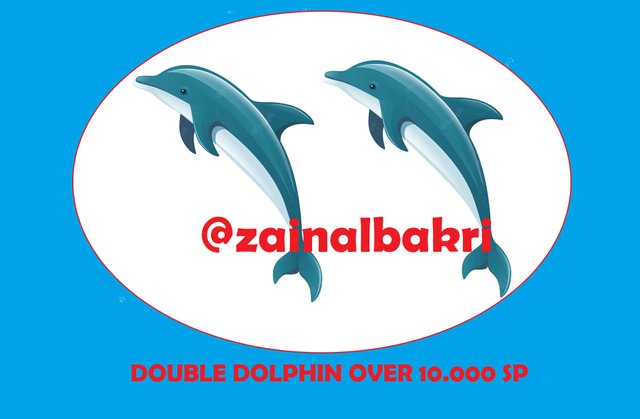 Double Dolphin.jpg