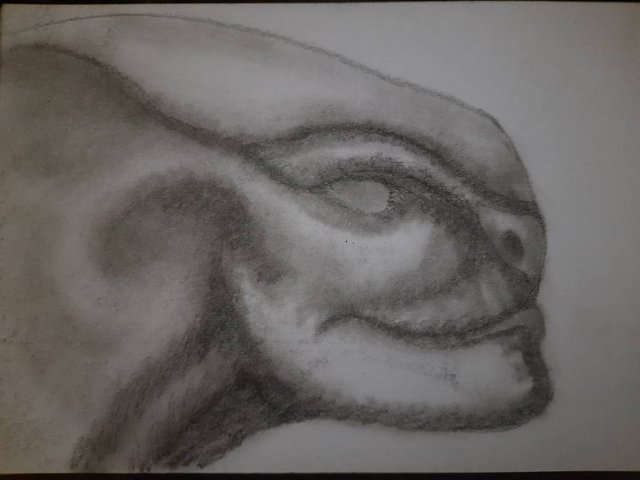 20250811_104950.jpg