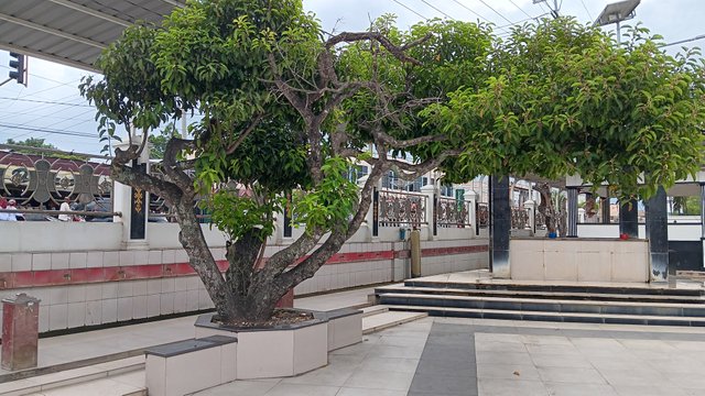 20250607_133820.jpg