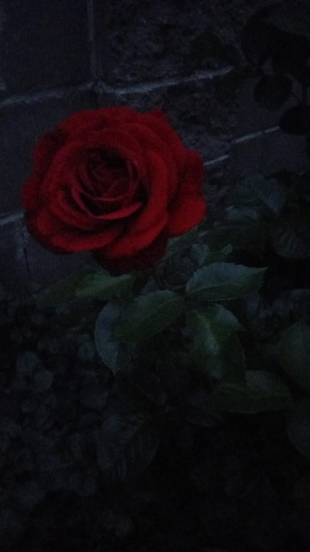 Изображение WhatsApp 2025-06-23 в 20.19.38_31592f70.jpg
