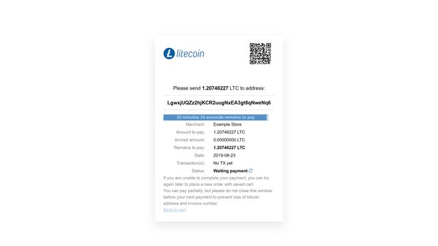 step5_payment_litecoin.jpg