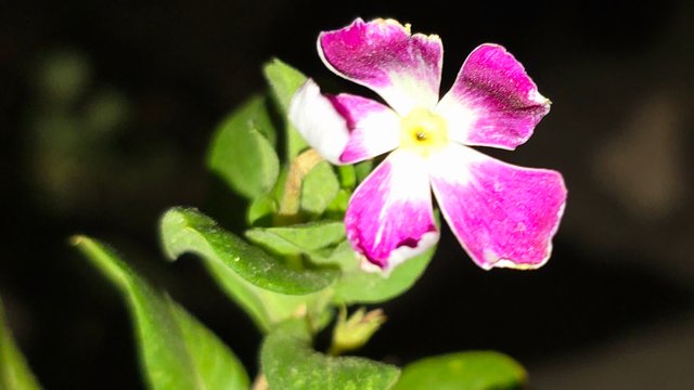 20250706_021753.jpg