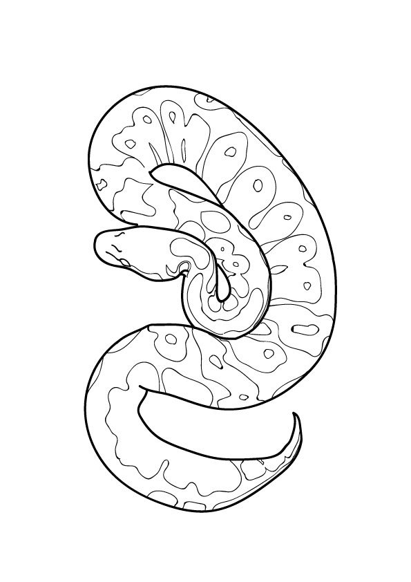 serpiente3-lineas.jpg