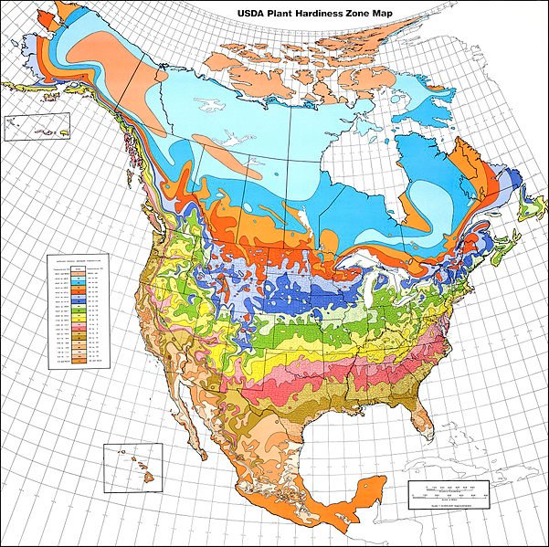 601px-USDA_Hardiness_zone_map.jpg