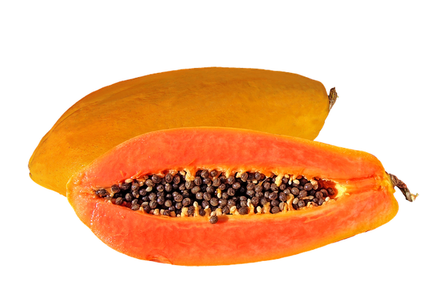 papaya-1055551__480 (1).png