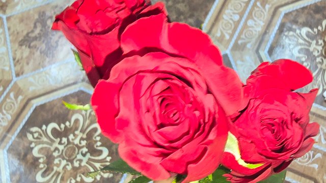 20250420_223117.jpg