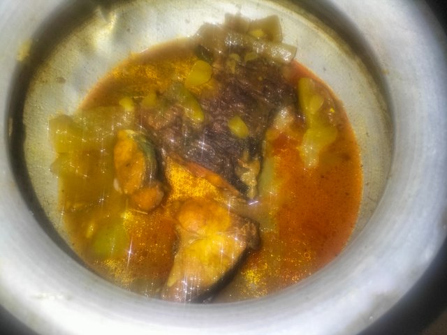 IMG20250717193237.jpg