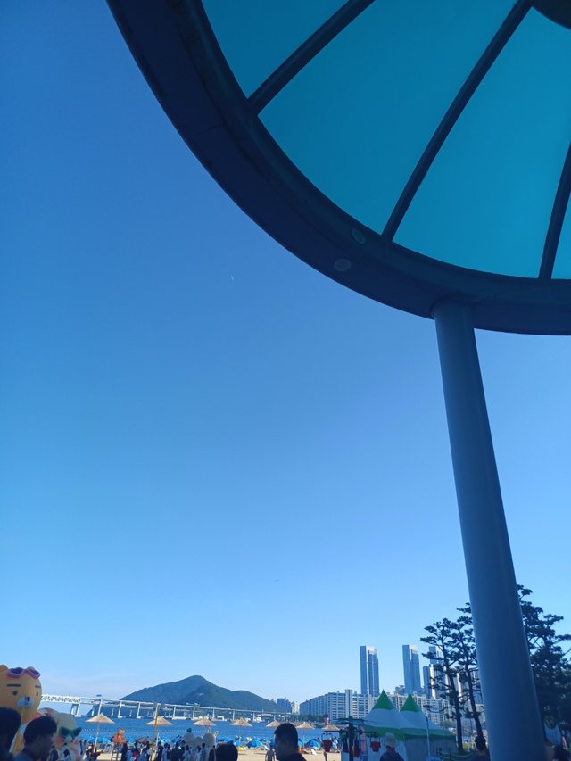1754047766653.jpg