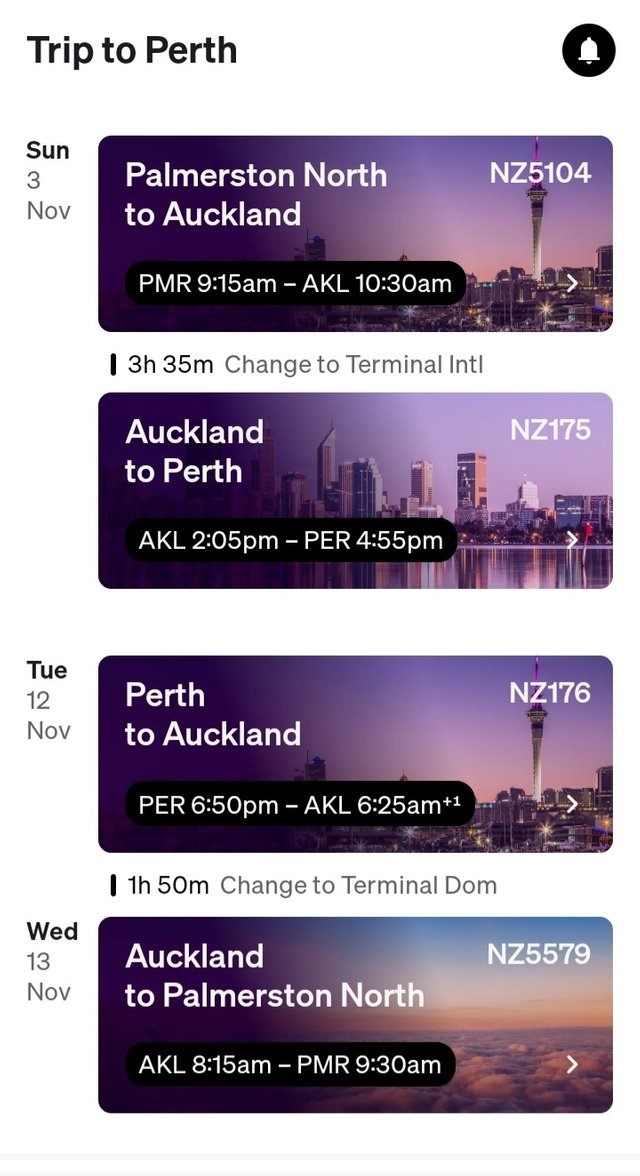 Screenshot_20241024-152742_Air NZ (1).jpg