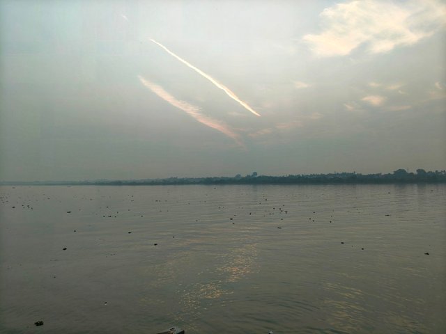 1000124290.jpg