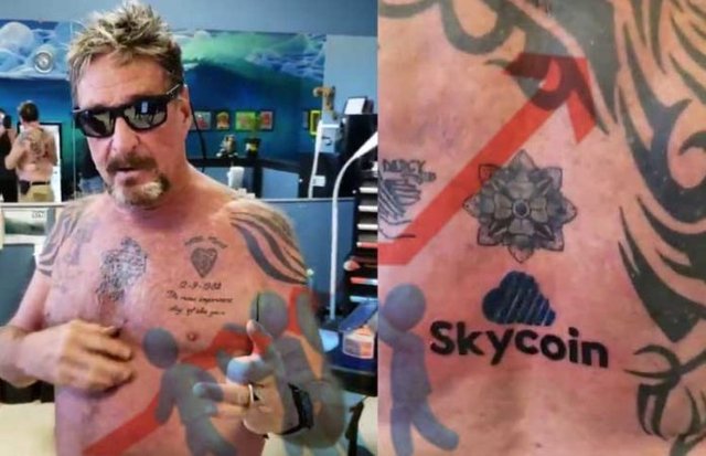 Thanks-to-Mcafees-Skycoin-Tattoo-SKY-Currency-Surges-by-12-696x449.jpg