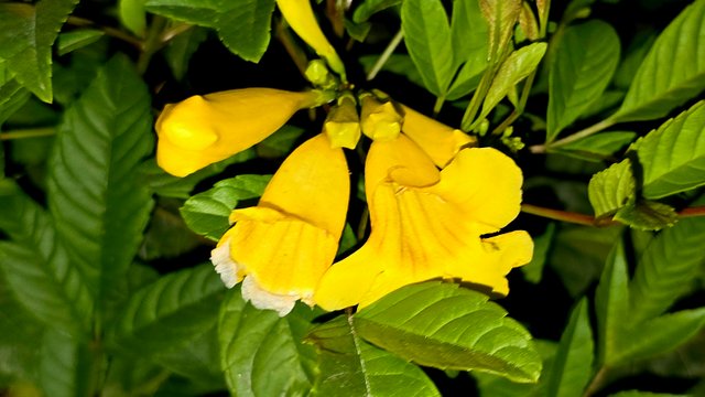 20250125_023040.jpg