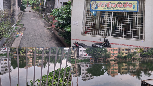 header.png